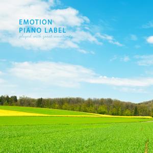 Various Artists的专辑Piano, walk around nature (piano with nature)