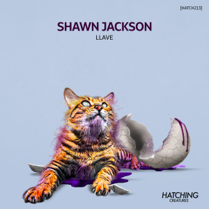 收听Shawn Jackson的Llave歌词歌曲