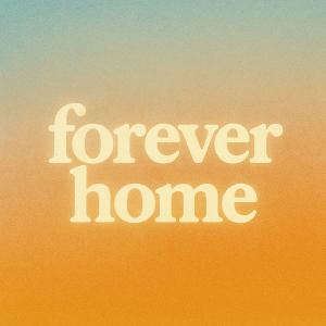 The Lofi Christian的專輯forever home