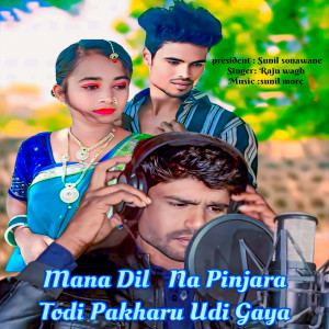 Listen to Mana Dil Na Pinjara Todi Pakharu Udi Gaya song with lyrics from Raju Wagh