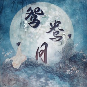Album 鸳鸯月 from 程佳佳