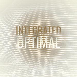 Various的专辑Integrated Optimal