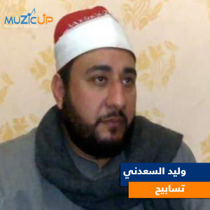 Listen to Ya Malek Elmolk song with lyrics from Waleed Al Saadany