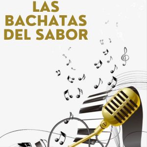 Listen to Lloraras song with lyrics from Elvis Martinez El Camarón