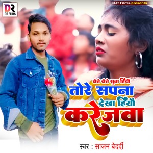 ดาวน์โหลดและฟังเพลง Rote Rote Suta Hiyau Tore Sapana Dekha Hiyau Karejwa พร้อมเนื้อเพลงจาก Sajan Bedardi