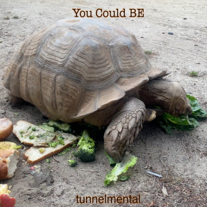 Tunnelmental的专辑You Could Be
