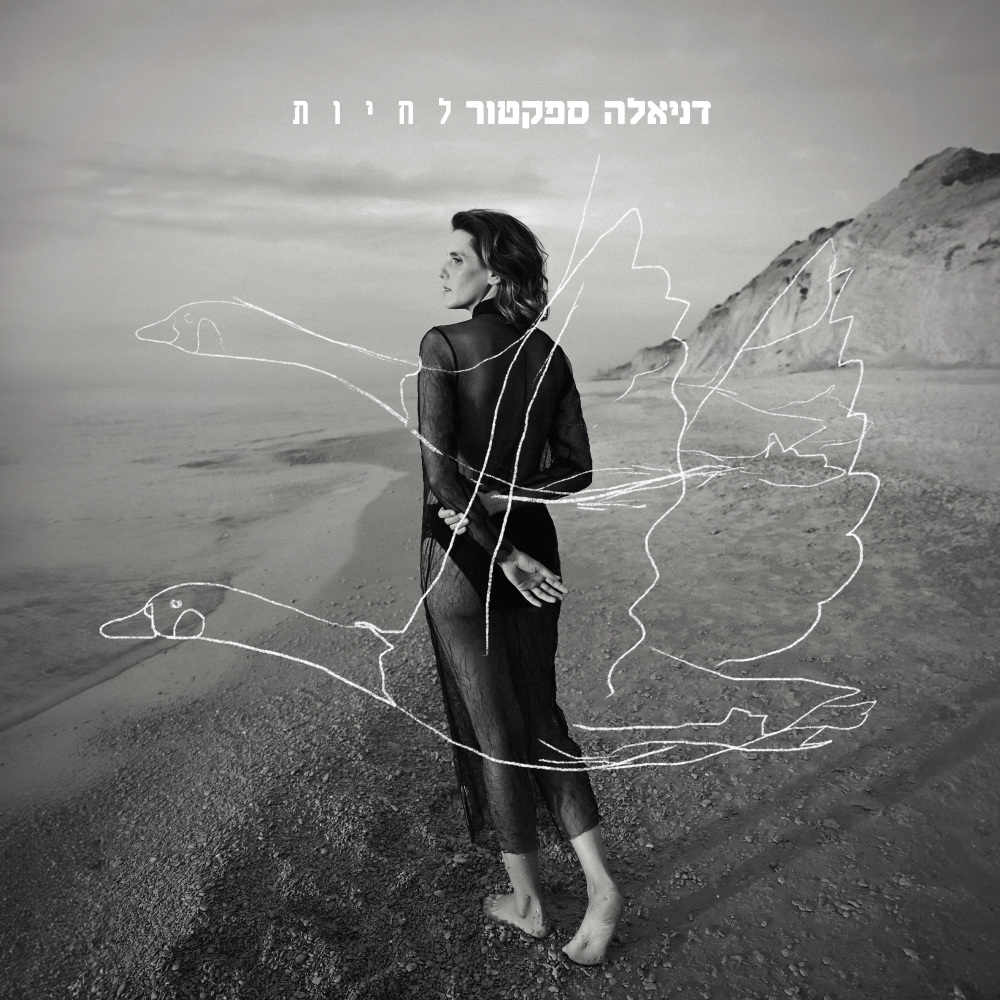 כמו איים בזרם