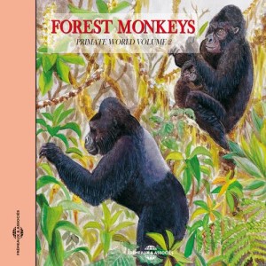 ดาวน์โหลดและฟังเพลง The De Brazza Monkey พร้อมเนื้อเพลงจาก The De Brazza Monkey