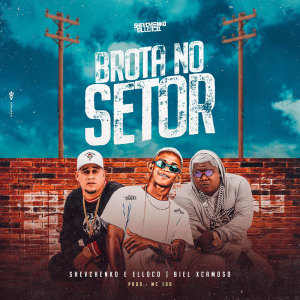 Listen to Brota no Setor song with lyrics from Shevchenko e Elloco
