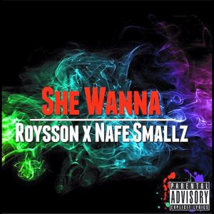 Nafe Smallz的專輯She Wanna (feat. Nafe smallz) [Explicit]