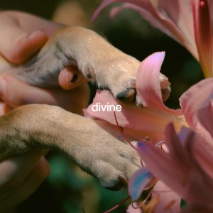 收聽Jordana的Divine歌詞歌曲