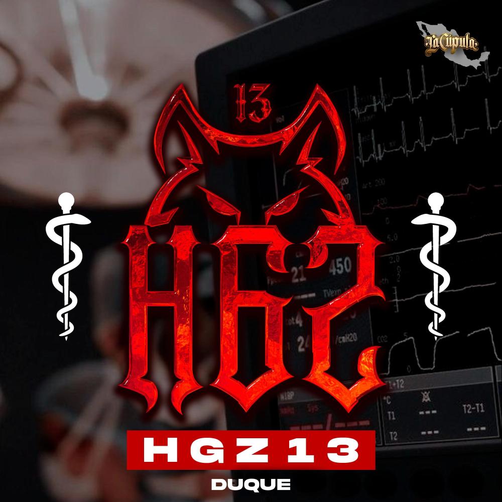 Hospital HGZ-13