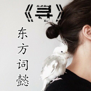 Album 寻 from 东方词懿