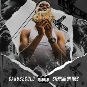 Album Stepping on Toes (Explicit) from Carus2cold