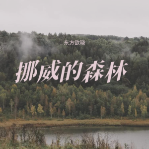 Listen to 挪威的森林 (cover: 伍佰 & China Blue) (完整版) song with lyrics from 东方欲晓