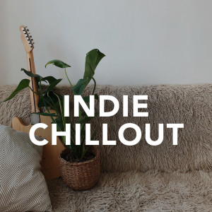 Various Artists的專輯Indie Chillout (Explicit)