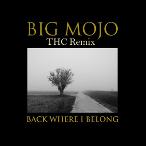 Album Back Where I Belong (THC Remix) oleh Big Mojo
