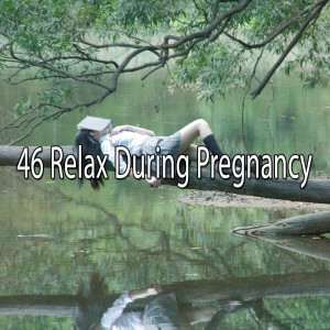 Listen to Professional Sleeper song with lyrics from Nature Sounds Nature Music