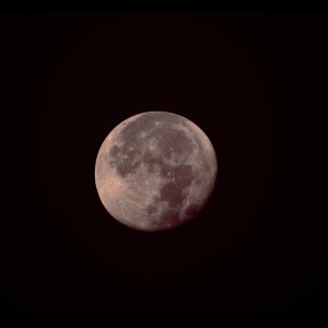 Dengarkan Lucky Charms lagu dari Zen Music Garden dengan lirik