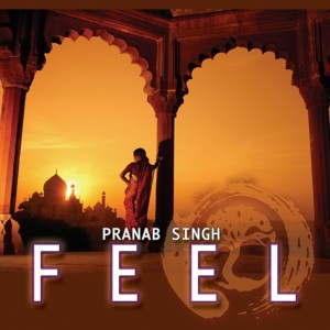 Listen to Feel song with lyrics from Pranab Singh