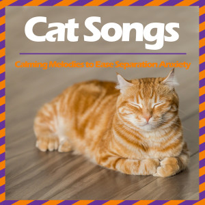 Relax My Cat的专辑Cat Songs - Calming Melodies to Ease Separation Anxiety