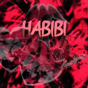 Habibi (feat. Rainer)
