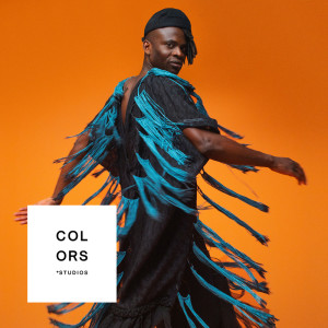 Album Figurine - A COLORS SHOW from Wayne Snow
