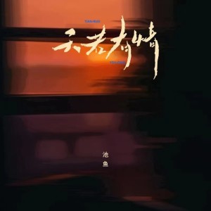 池鱼的专辑天若有情（DJ版）