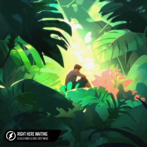 收聽DJ Alex Man的Right Here Waiting歌詞歌曲