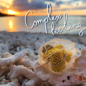 收聽HY的Complex Feeling歌詞歌曲