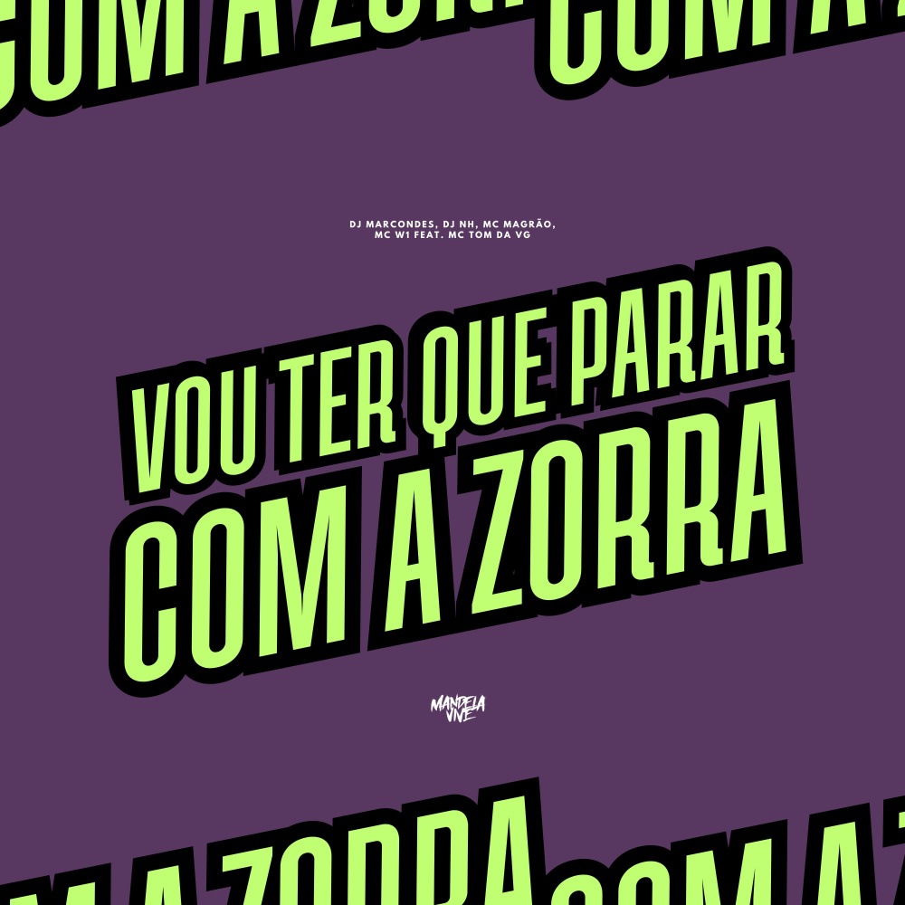 Vou Ter Que Parar Com a Zorra (feat. MC Tom da VG) (Explicit)