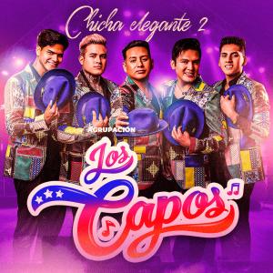 收聽Agrupación Los Capos的En Tu Trampa Caerás (En Vivo)歌詞歌曲