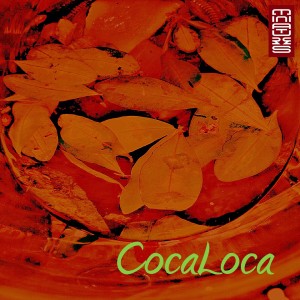 อัลบัม CocaLoca ศิลปิน Various