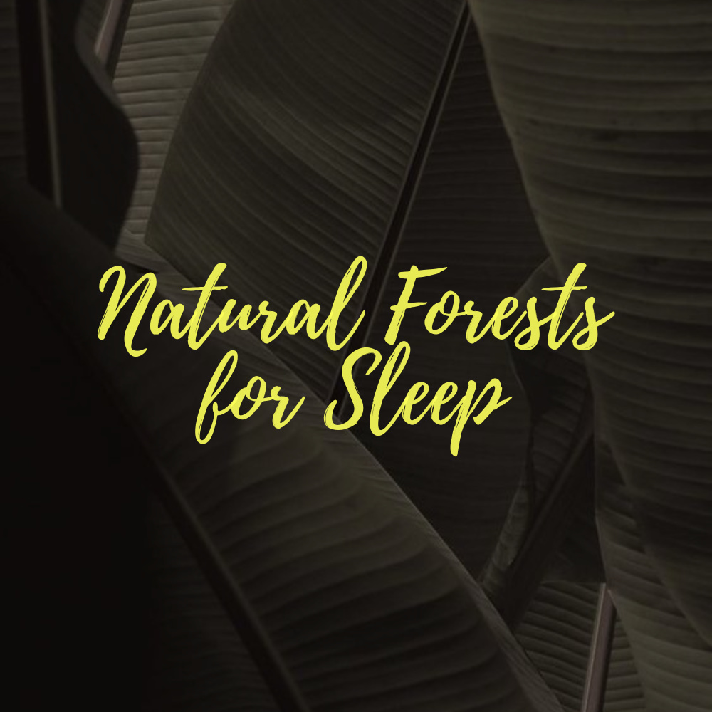 Natural Forests for Sleep