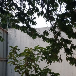 Kahfi的專輯Mozaik Free (Cover)