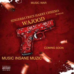 อัลบัม Wajood ศิลปิน Harry Cheema