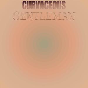 อัลบัม Curvaceous Gentleman ศิลปิน Various