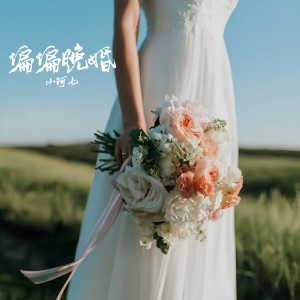 Album 偏偏晚婚 oleh 小阿七