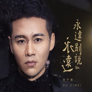 Dengarkan 永远别说永远 (Single Version) lagu dari 徐子崴 dengan lirik