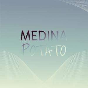 Various的专辑Medina Potato