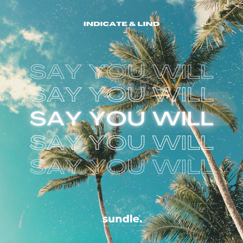 Say You Will
