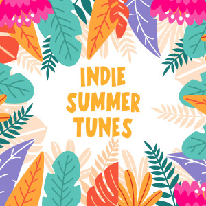 อัลบัม Indie Summer Tunes (Explicit) ศิลปิน Various Artists