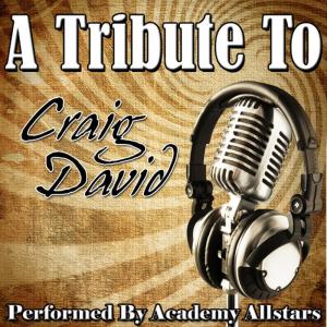 A Tribute to Craig David