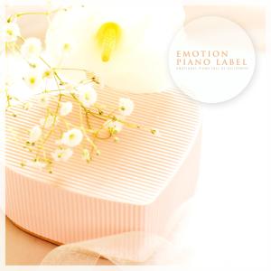 Album Emotional Piano Full Of Excitement from Korea Various Artists