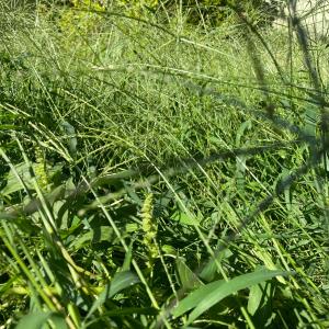 ดาวน์โหลดและฟังเพลง home to me (其他) พร้อมเนื้อเพลงจาก Adison Maxwell