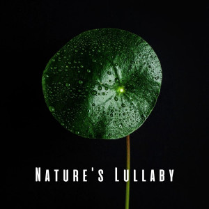 Rain Recorders的专辑Nature's Lullaby: Binaural Rain Beats for Baby's Cozy Moments