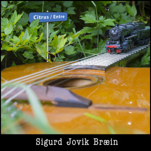 收聽Sigurd Jovik Bræin的Citrus歌詞歌曲