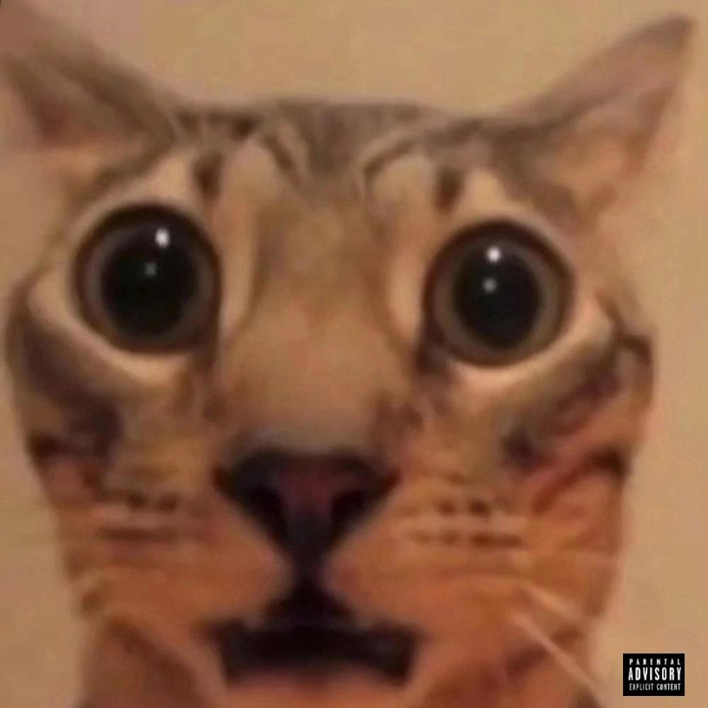 Bar (feat. Che) (Explicit)
