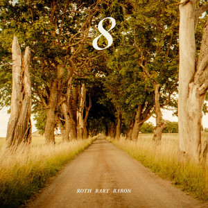 อัลบัม ８ ศิลปิน ROTH BART BARON