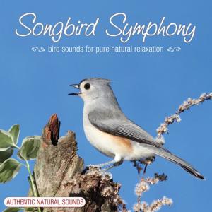 Stephan North的專輯Songbirds Symphony